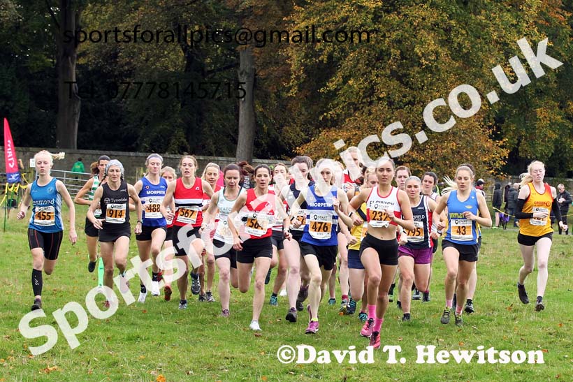Senior womens 2021 NEHL Lambton Castle near Chester le Street, County Durham. Photo: David T. Hewitson/Sports for All Pics